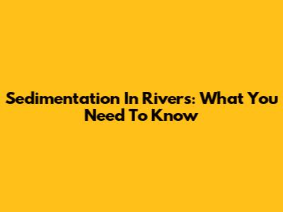 Sedimentation In Rivers: What You Need To Know