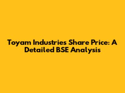 Toyam Industries Share Price: A Detailed BSE Analysis